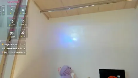 Blum_icee webcam model stream image