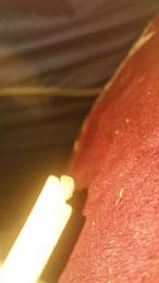 Nuevo69 webcam model stream image