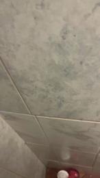 potrillo36 webcam model stream image