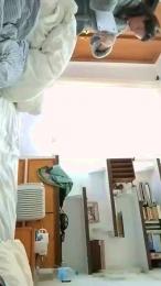 Arielviolet webcam model stream image