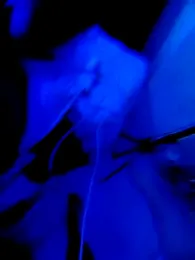 Dearlyescream27 webcam model stream image