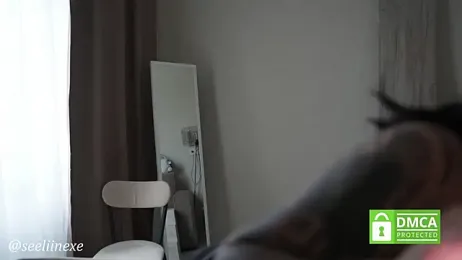 seeliinexe webcam model stream image