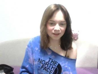 SnowHab webcam model stream image