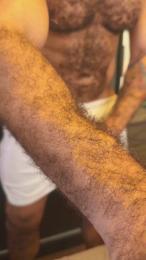 CavaloPeludo33 webcam model stream image