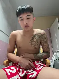 8k6660 webcam model stream image