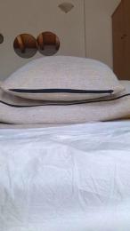 arianny_sexy webcam cam4 model stream image