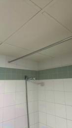 Pollon29_cm webcam cam4 model stream image