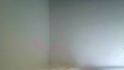 BergischerBaer webcam model stream image