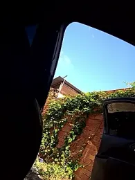 JeffersonRay webcam model stream image