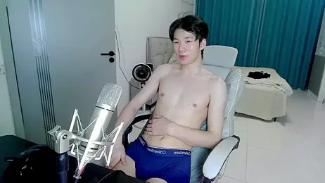 HJ-888 webcam model stream image