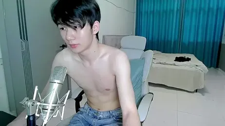 HJ-888 webcam model stream image