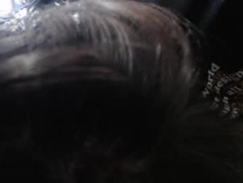 iliaskrisloveee webcam model stream image