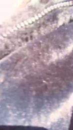 Adelaide986 webcam cam4 model stream image