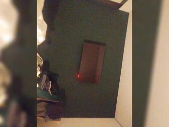 SerNad webcam model stream image