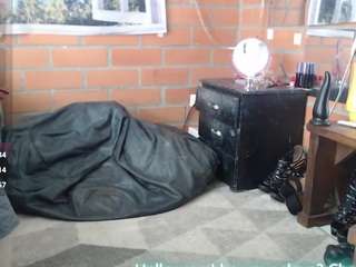 foxy-pet webcam model stream image