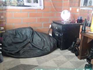 foxy-pet webcam model stream image