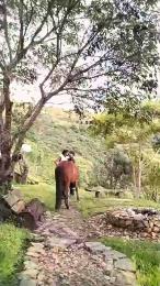 Remote_live webcam cam4 model stream image