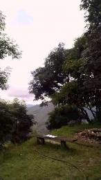 Remote_live webcam model stream image