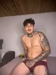 picasso_25CM webcam model stream image