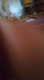 Maldixx69 webcam model stream image