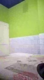 SegundoIves webcam model stream image