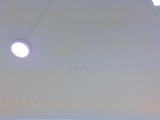 Lilith Lambert webcam model stream image