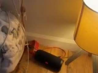 justagoodnight webcam model stream image