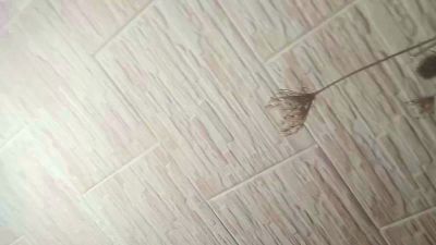 arte_de_reflej1 webcam model stream image