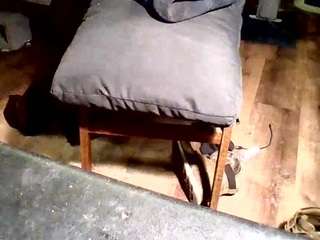 timmcginnity webcam model stream image