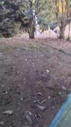 Petitebombe34 webcam model stream image