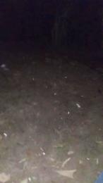 Petitebombe34 webcam model stream image