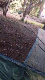 Petitebombe34 webcam model stream image