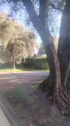 Petitebombe34 webcam model stream image