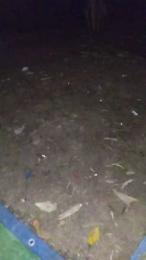 Petitebombe34 webcam model stream image