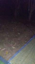 Petitebombe34 webcam model stream image