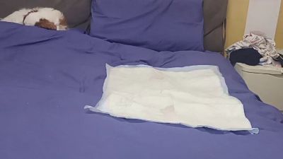 Bigcuminaction webcam cam4 model stream image