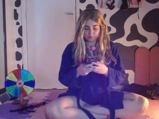 hi-elora webcam model stream image