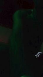 daddybearmadri5 webcam cam4 model stream image