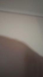 maxi2080 webcam model stream image