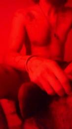 Blom webcam model stream image