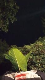 chupala_puto webcam model stream image