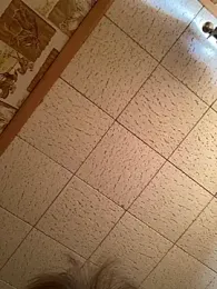 Tonybaloney1972 webcam model stream image