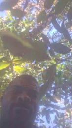 Vidalgo webcam model stream image