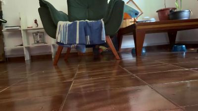 gerson229 webcam model stream image