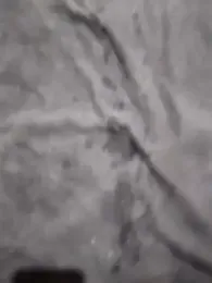 Novinhoxxx webcam model stream image