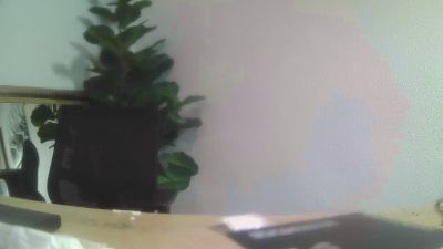 Zup1 webcam model stream image