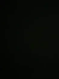 vitvit2 webcam model stream image