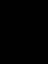 vitvit2 webcam model stream image