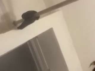 handsomepapibbc webcam model stream image