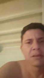 Brasika webcam model stream image